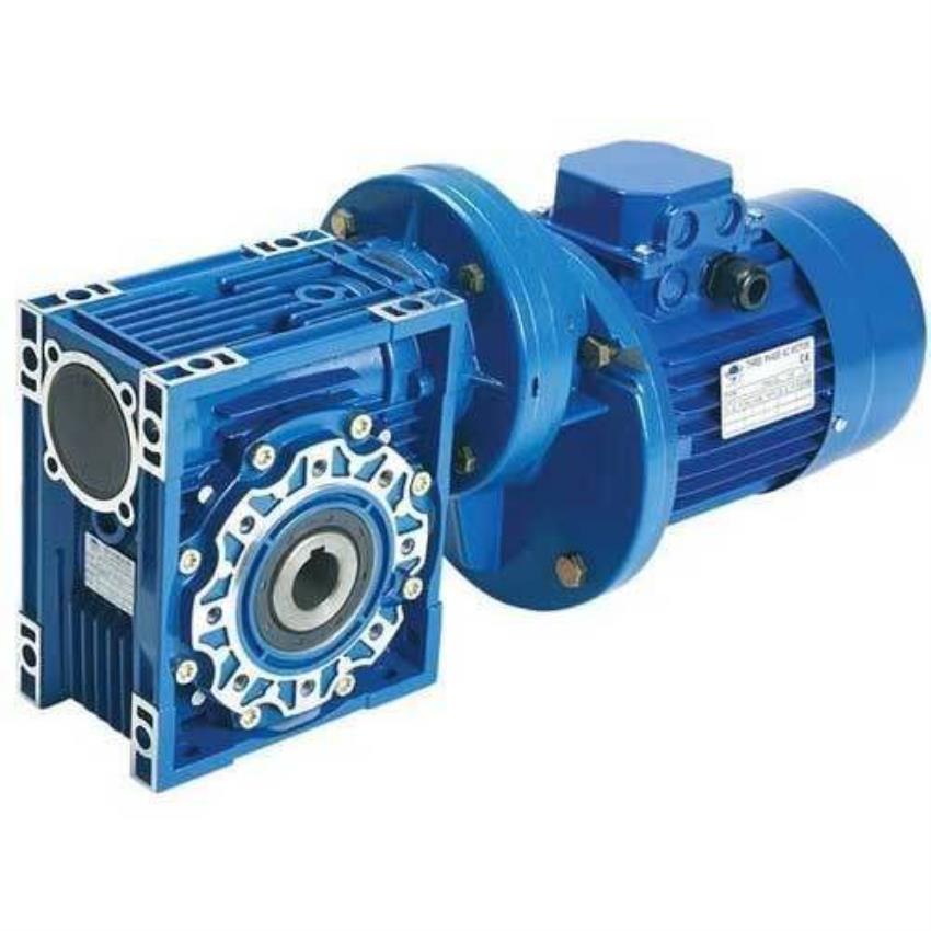 Motorized Worm Gear Reducer