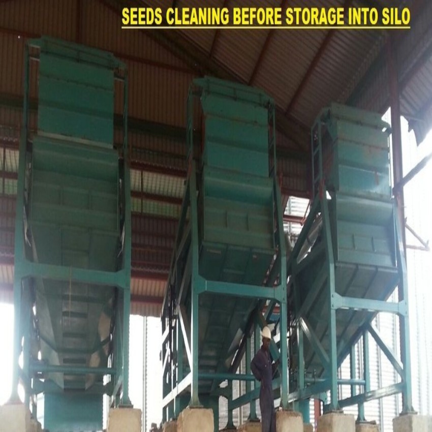 MS Flat Bottom Seed Storage Silo for Industrial
