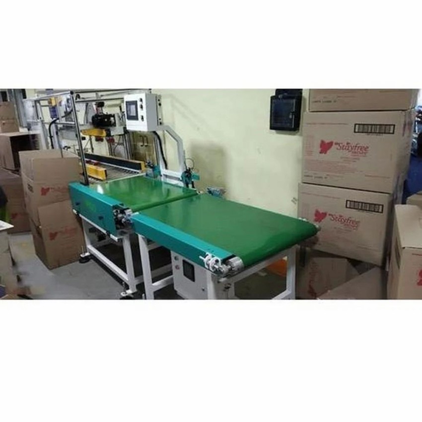 MS In-Line Master Carton Weighing Machine PACW10-100G