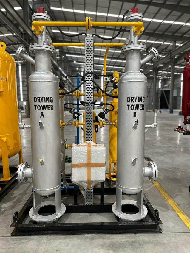 MS Polished Regenerative Desiccant Dryer