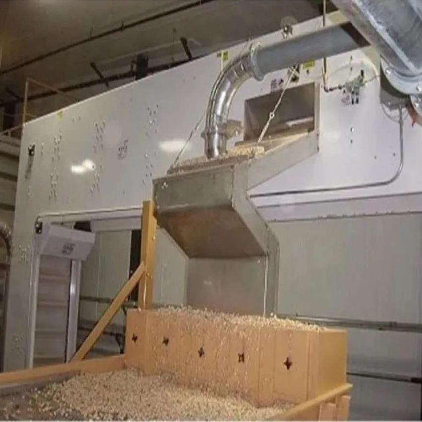 Z Multi Discharge Bucket Elevator