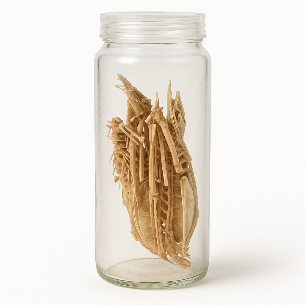 General Purpose Specimen Jar