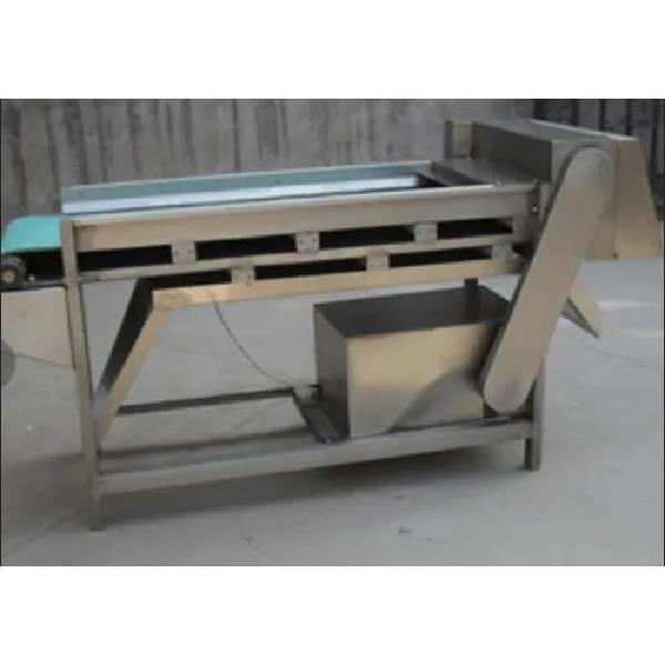 Mushroom Slicing Machine