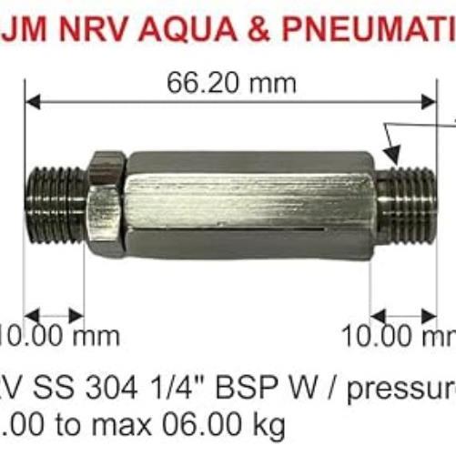 SS 304 BSP Non-Return Valve