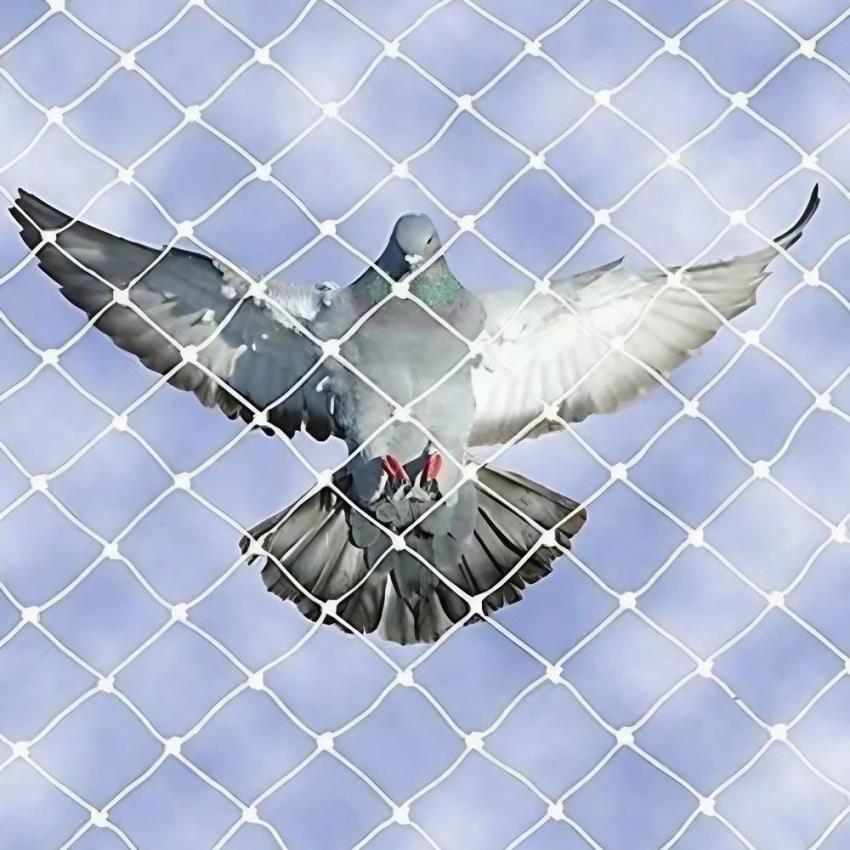 Nylon Bird Mesh