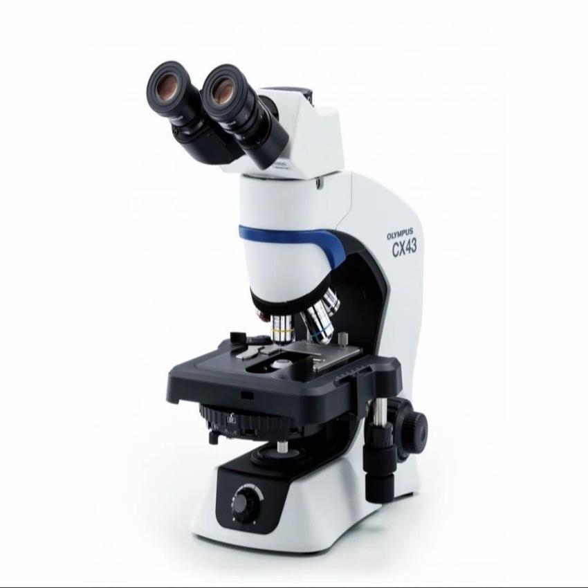 Olympus Phase Contrast Microscope, 1000x Magnification