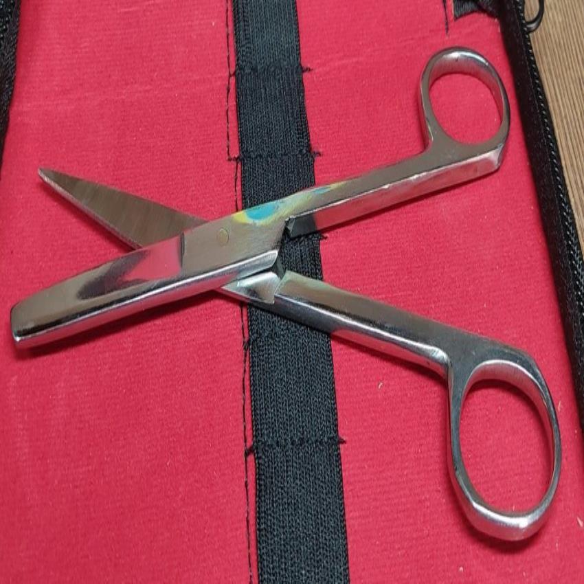 Surgical Scissor (Dissecting)
