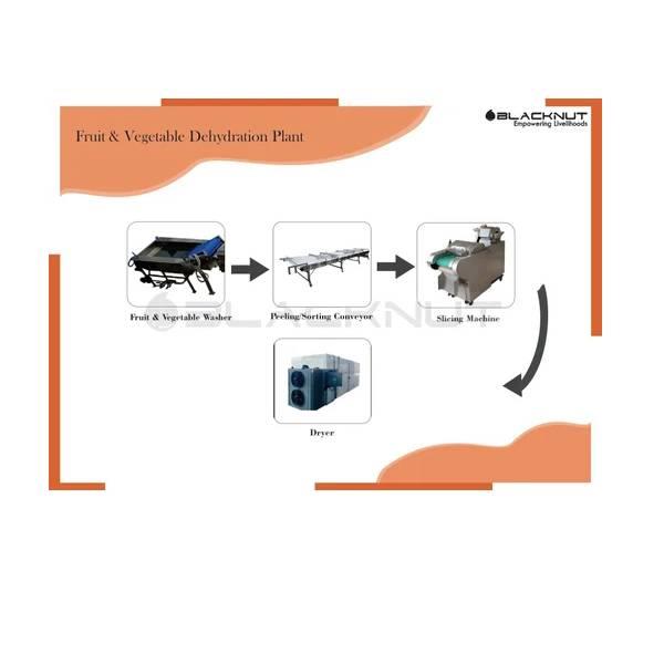 Onion Drying Machine