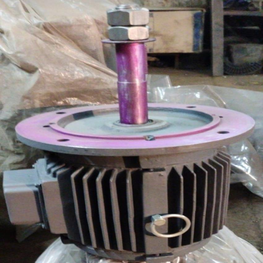 Oswal 3 Cooling Tower Electric Motor