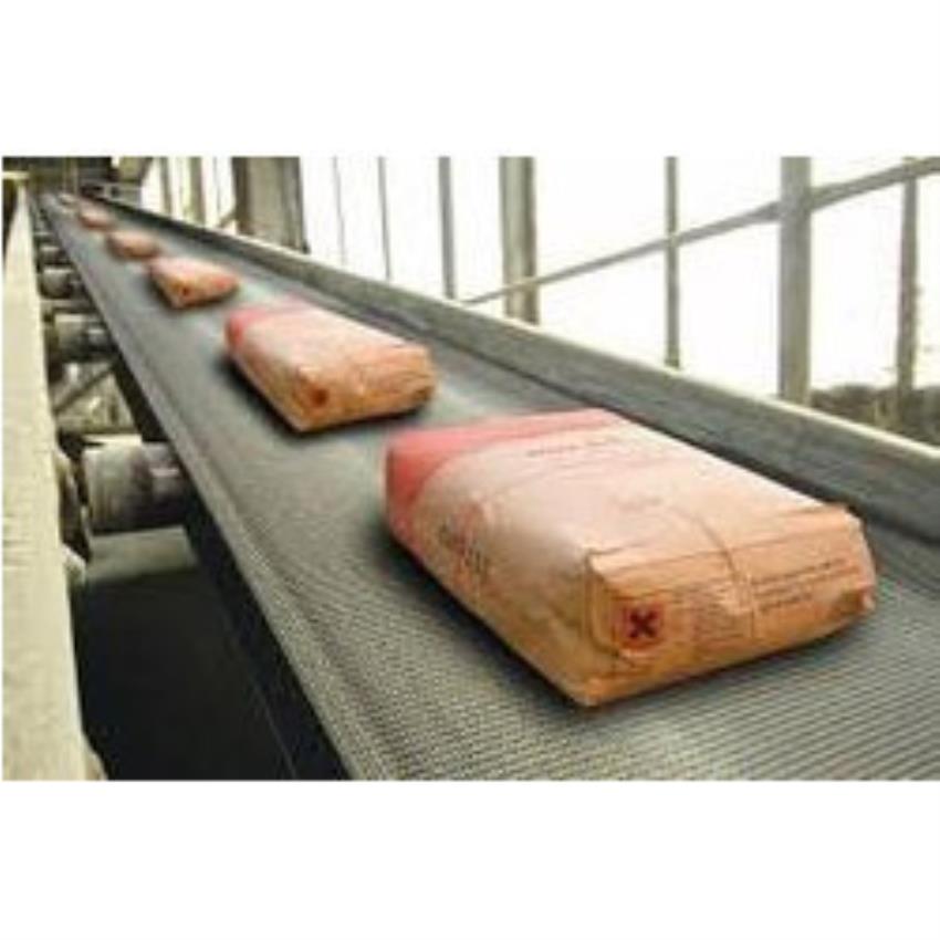 Packaging Conveyor Equipment