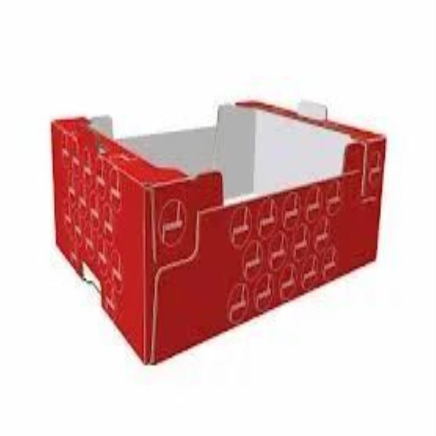 Advanced Packaging Development