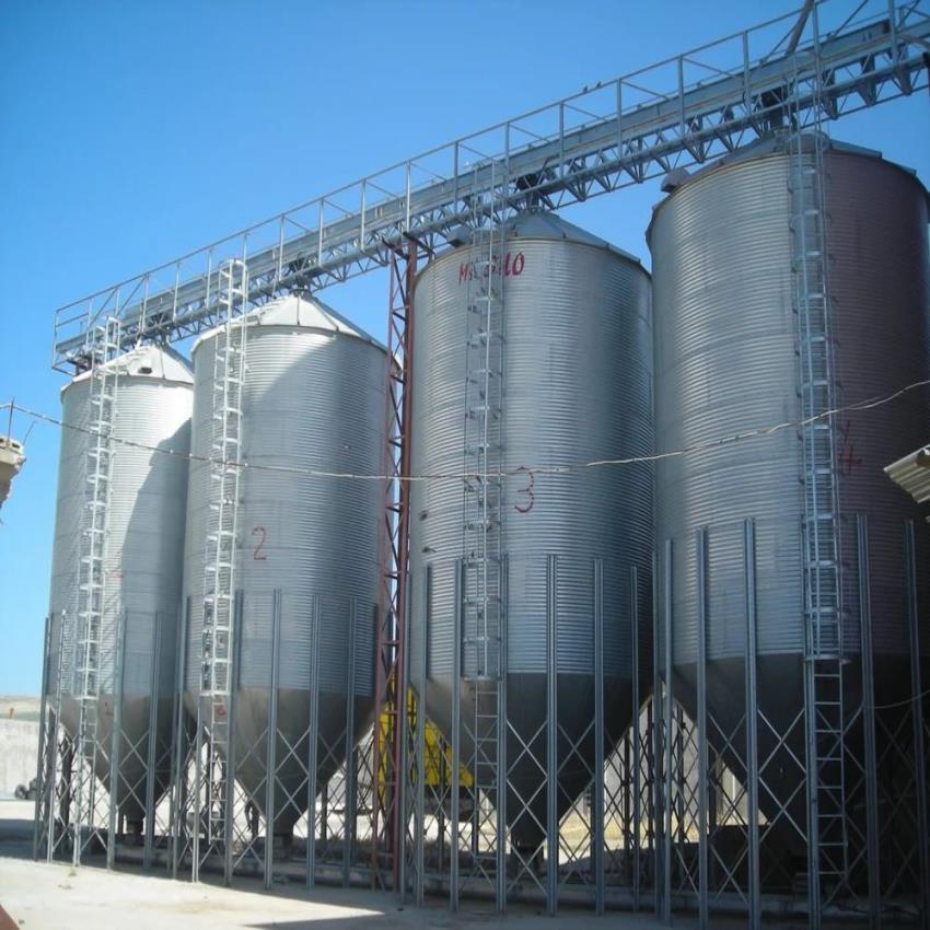 Stainless Steel Paddy Silo