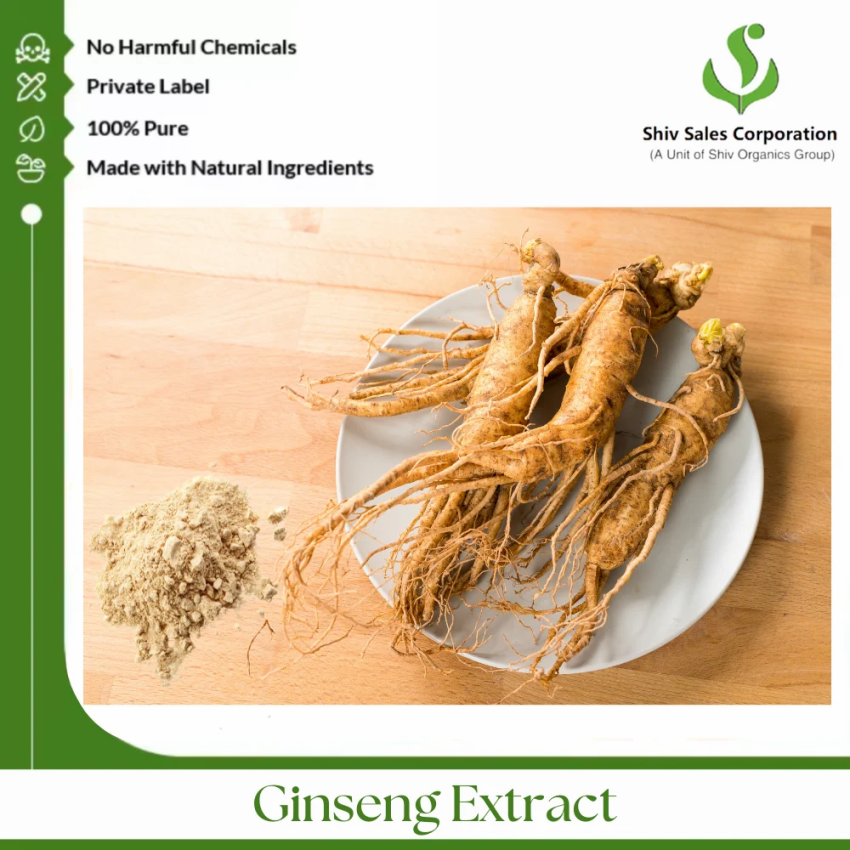 Panax Ginseng Dry Root Extract