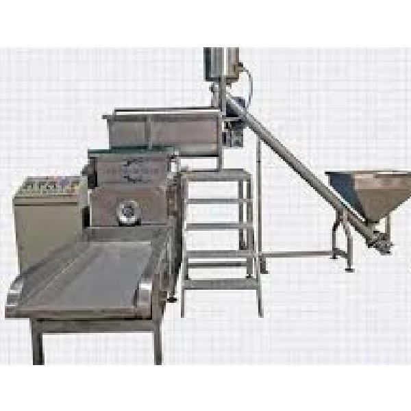Pasta Production Plant Equipment