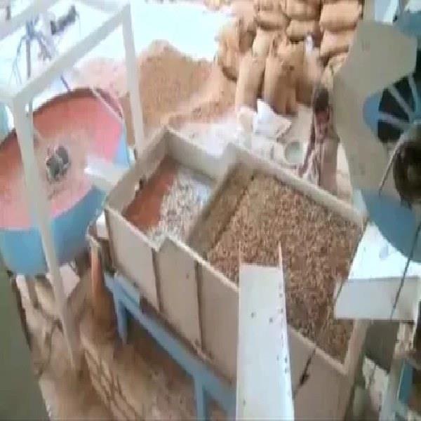Peanut Processing Equipment