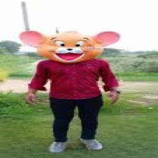 Plain FRP Jerry Cartoon Face Decor