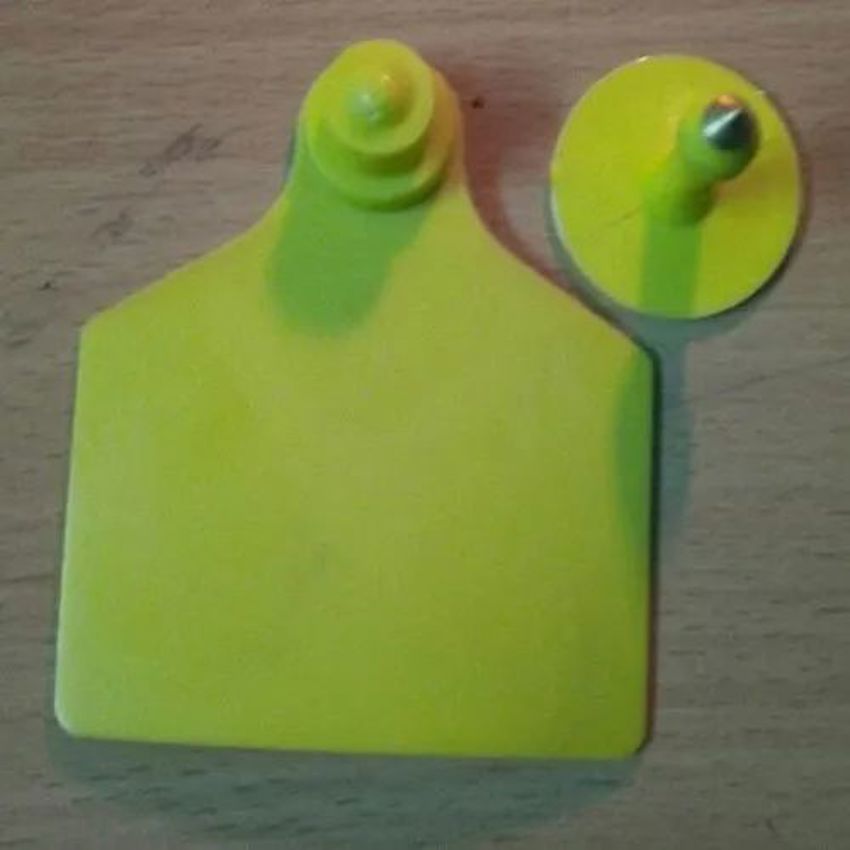 Plain Plastic Ear Tag - Image 1