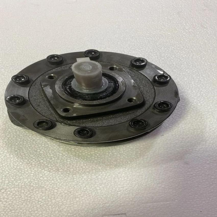 Polyhydron Radial Piston Pump