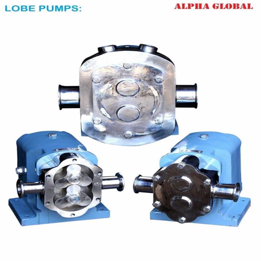 SS-316 Rotary Lobe Pump