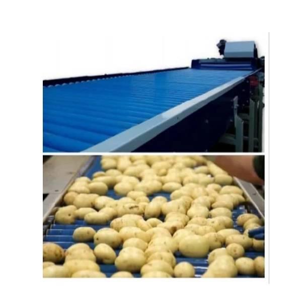 Automatic Potato Sorter