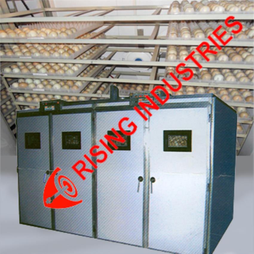 Poultry Egg Incubator Machine