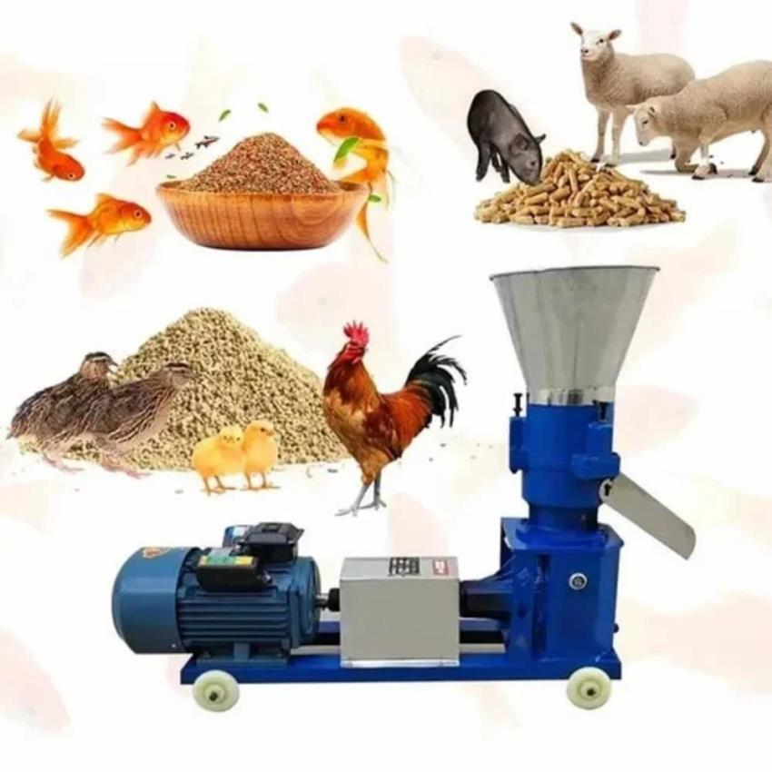 Automatic Poultry Feed Machine