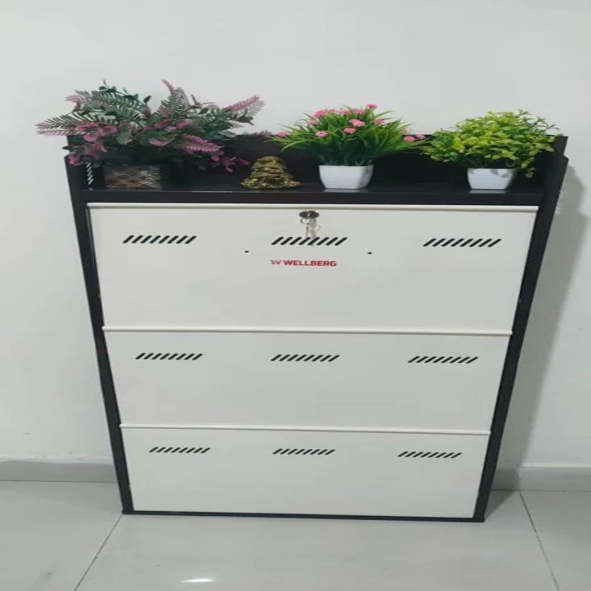 Wall Mount Powder Coated Steel Shoe Rack