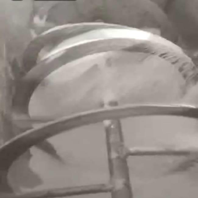 SS Powder Mixing Machine, 50 Kgs/Hr