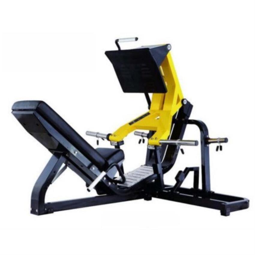 Pro Advanced Mild Steel Leg Press