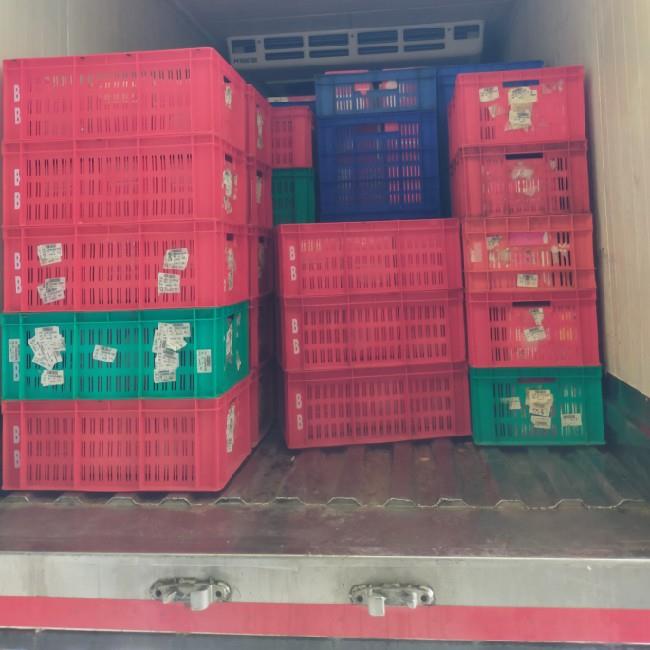 PUF Insulated Transport Vehicle