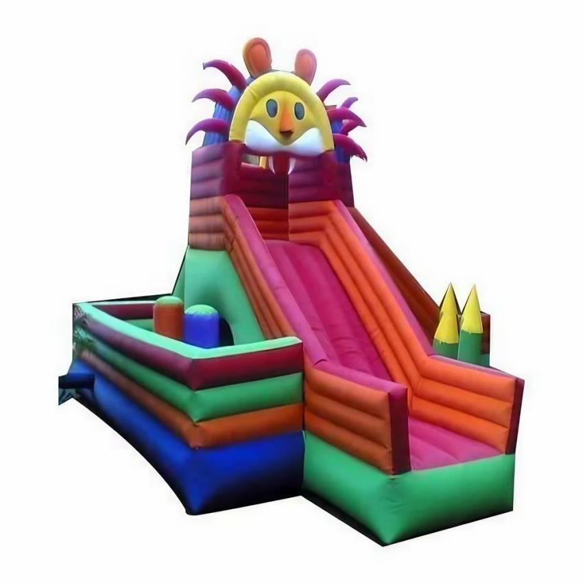 Pvc Coated Fabric Two Slide Bouncy Equipment, 12 Year