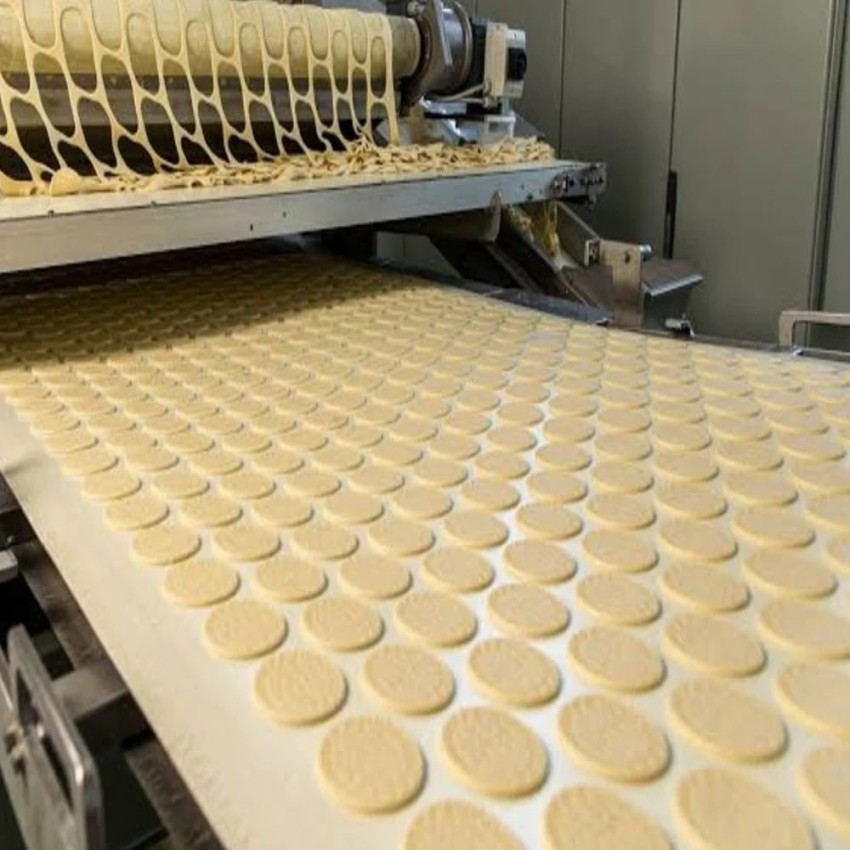 PVC & PU Food Grade Conveyor Belt (Cleat/Sidewall)