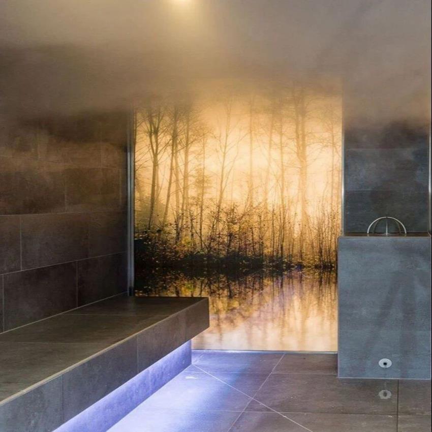 Quolike Glass Steam Generator