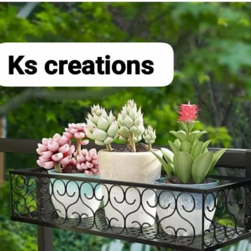 Hanging Railing Plant Stand