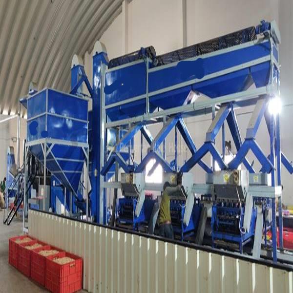 Automatic Cashew Nut Grader