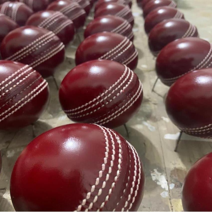 Red 50 Over Leather Cricket Ball
