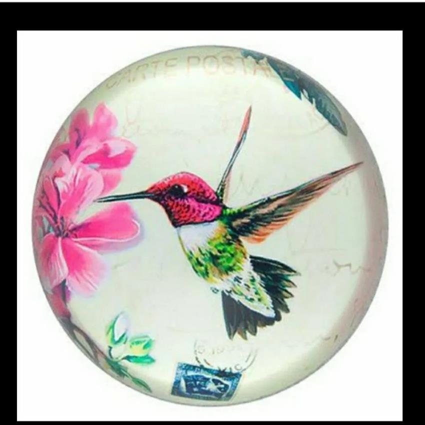 ALSA Red Round Magnifying Paperweight