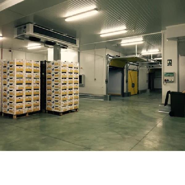 Airtech Ripening Chambers