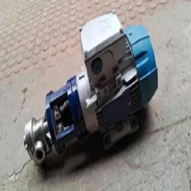 Rotary Gear Oil Transfer Pumps