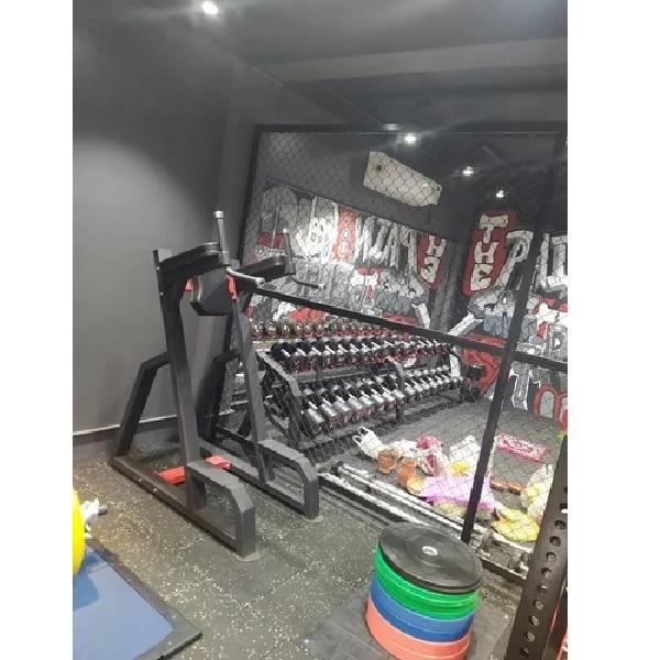 Roxan Dip and Knee Raise Machine