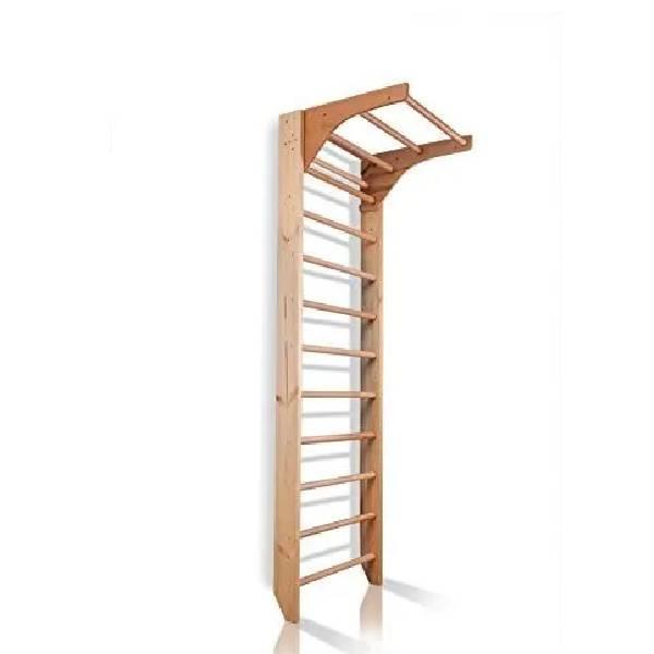 Roxan Heavy Iron/Wooden Ladder