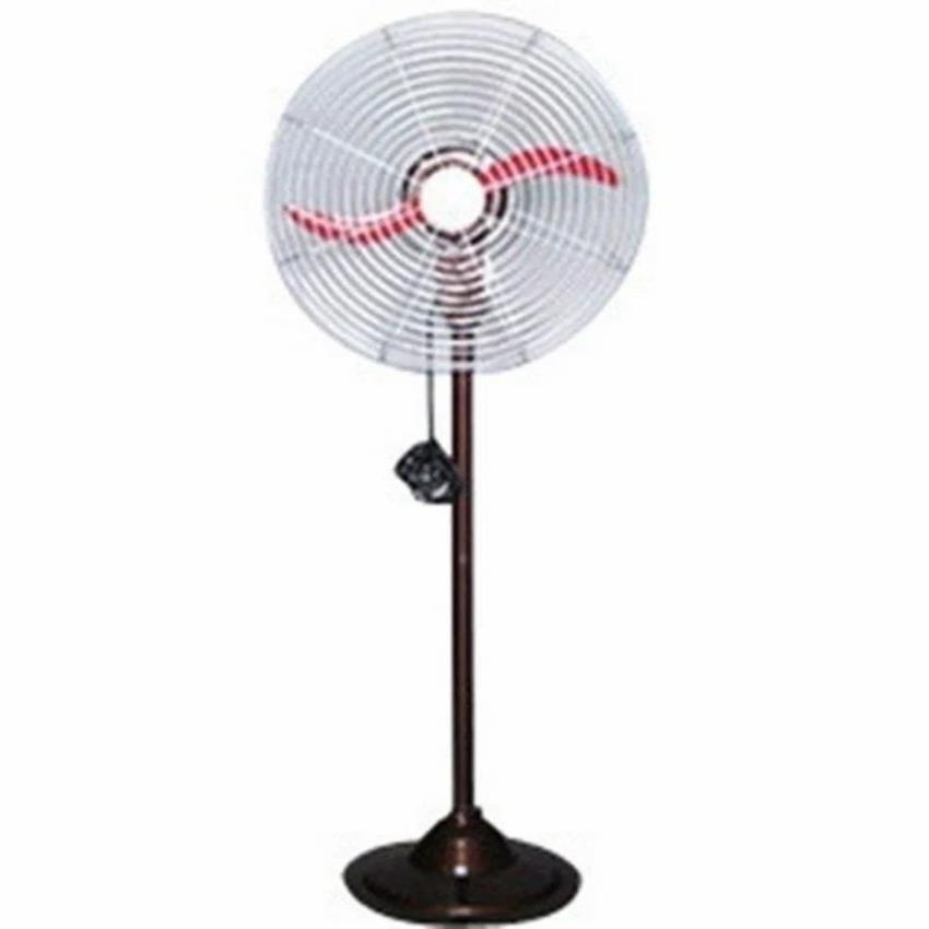 Ryna Electric Farrata Stand Fan