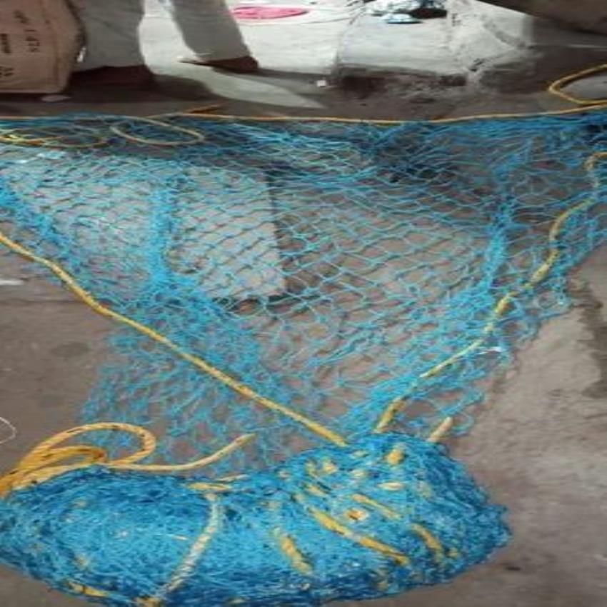 Protective Safety Net