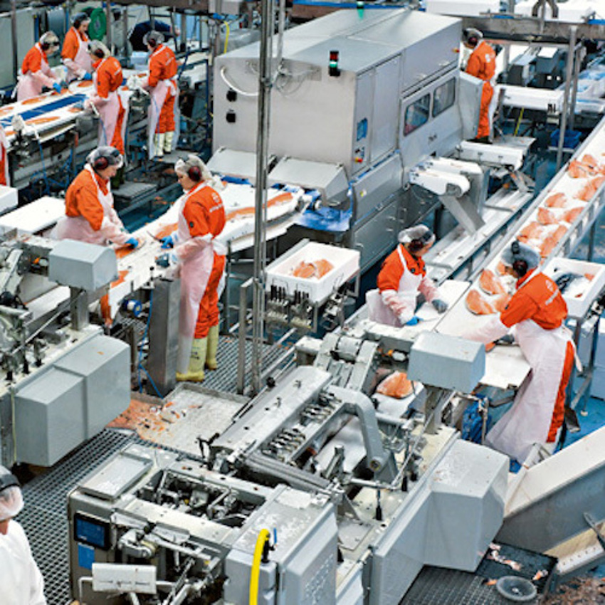 Semi-Automatic Food Processing Plant