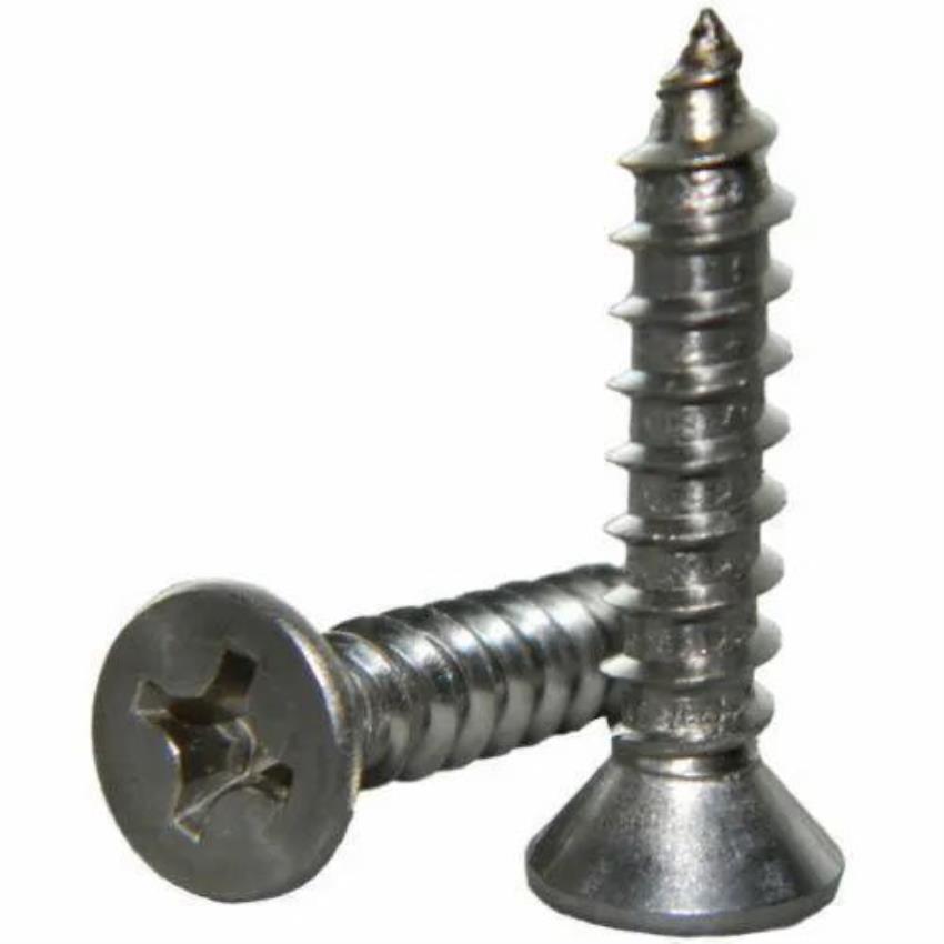 Corrosion Resistant Steel Self Threading Screw
