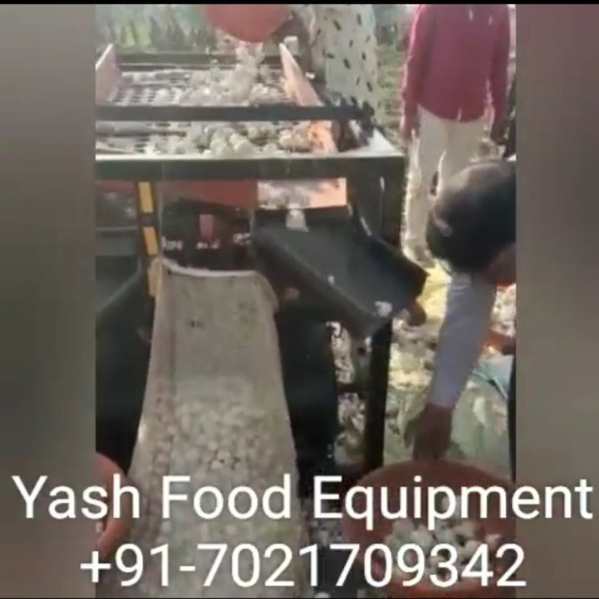 Mild Steel Garlic Grading Machine, 6000 kg Capacity