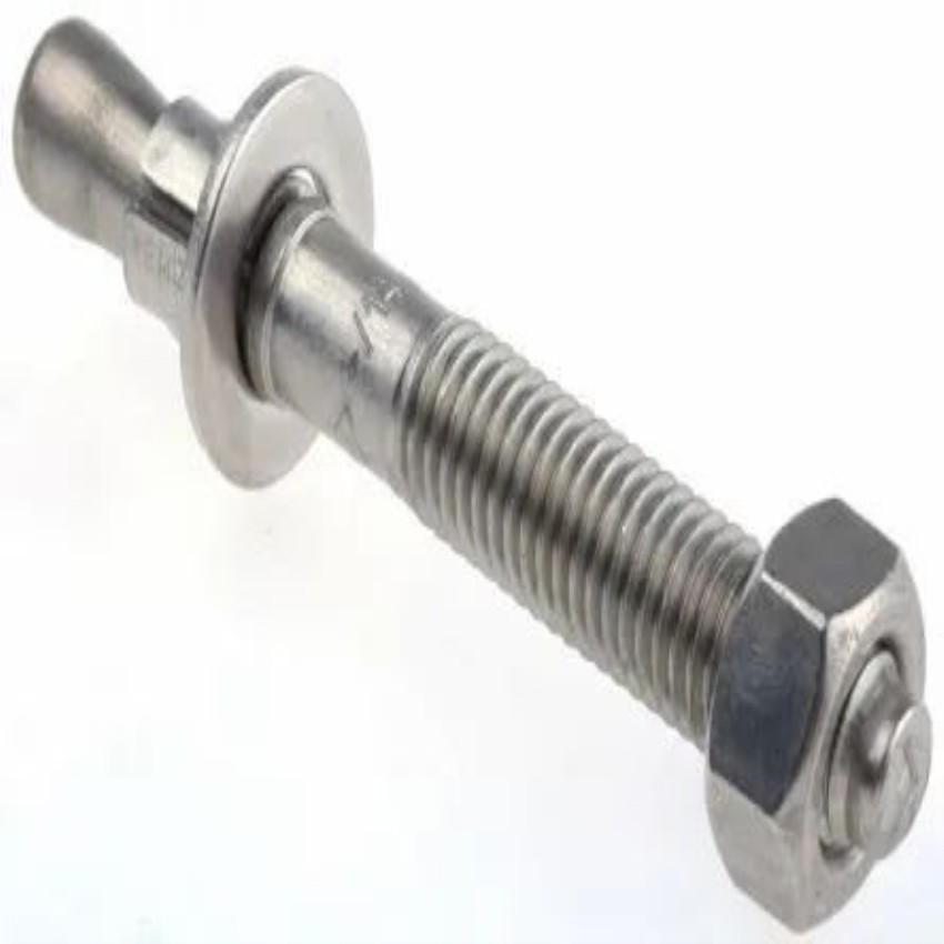 SES Stainless Steel M10*100 Anchor Fastener