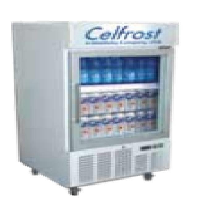 Commercial Showcase Freezer