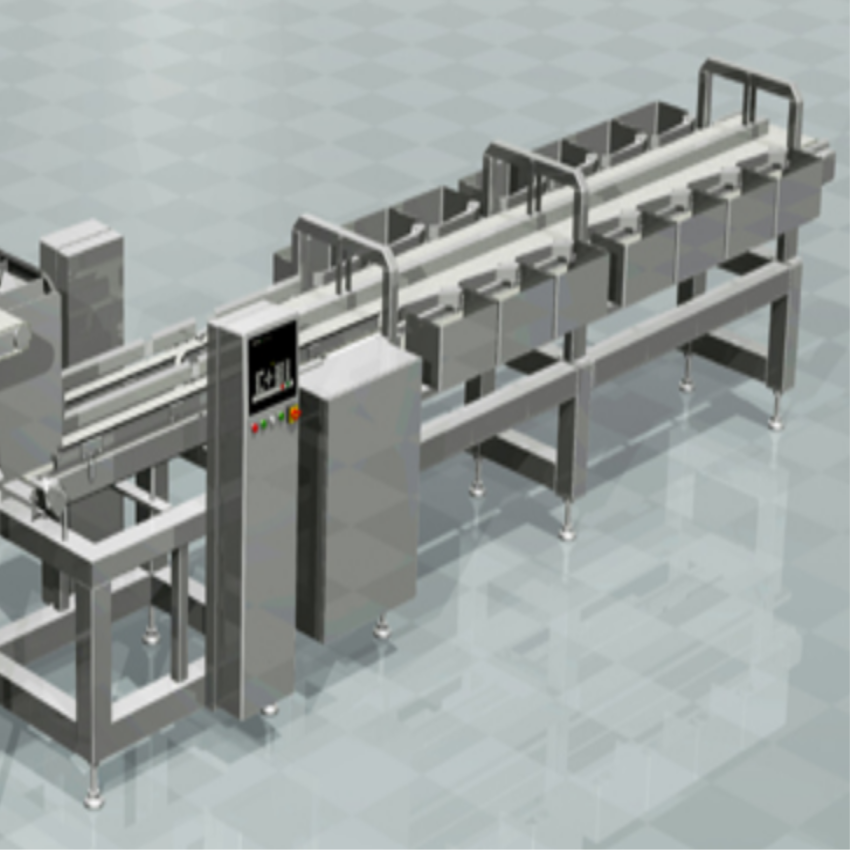 Shrimp Sorting Equipment