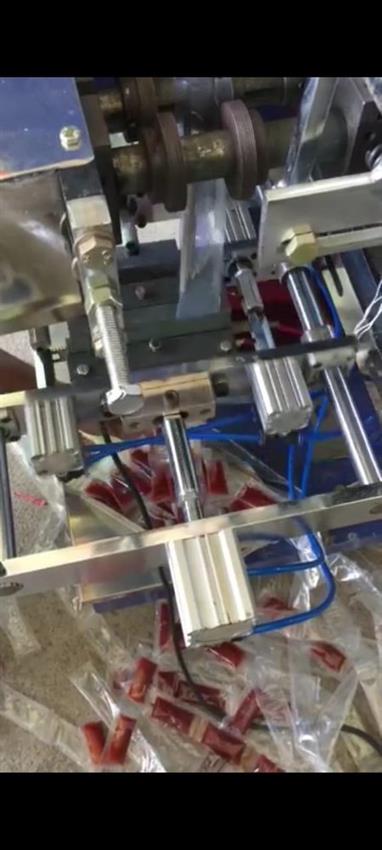 Single Phase Peanut Pouch Packaging Machine